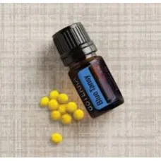 Blue Tansy