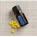 Blue Tansy