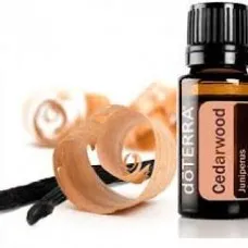 Cedarwood