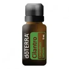 Cilantro