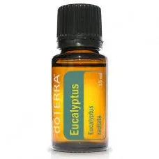 Eucalptus