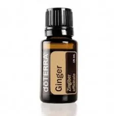 Ginger