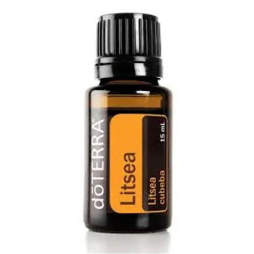 Litsea